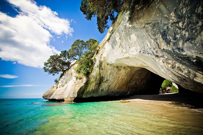 Cathedral Cove & Coromandel Peninsula Small-Group Day Tours - Hot Water Beach: a sandy science experiment