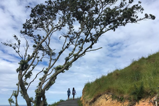 Cathedral Cove Day Trip from Auckland - Key points to know before booking
