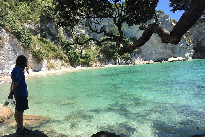 Cathedral Cove Day Trip from Auckland - Hot Water Beach puts the geology under your feet