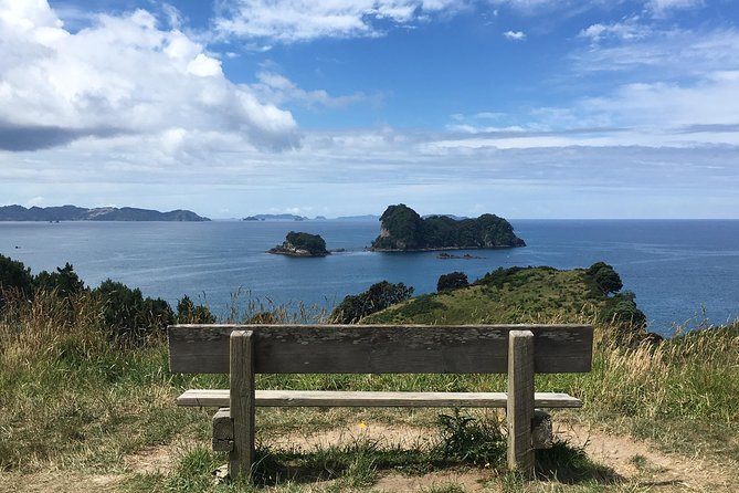 Cathedral Cove Day Trip from Auckland - Mt. Paku turns a long drive into a final viewpoint