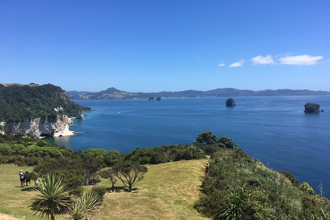 Cathedral Cove Day Trip from Auckland - The guide makes the long minibus day work