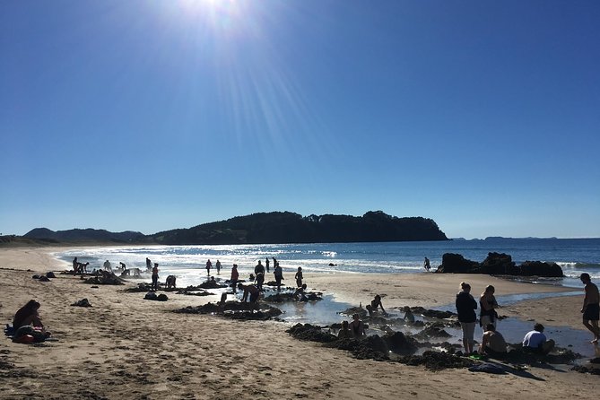 Cathedral Cove Day Trip from Auckland - What the $242.02 price really covers