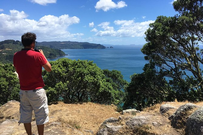 Cathedral Cove Day Trip from Auckland - Timing, fitness, and what to bring
