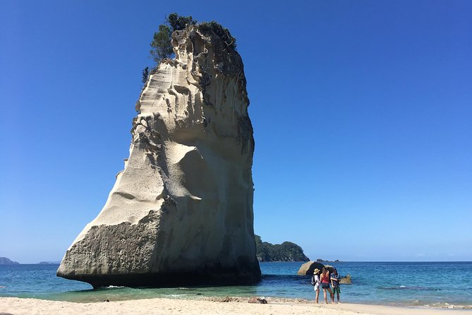 Cathedral Cove Day Trip from Auckland - Cathedral Cove is the day’s main event