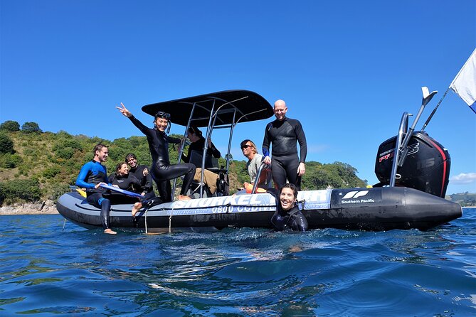 Cathedral Cove Dive & Snorkel- Marine Reserve specialised trips - Key points about the Hahei snorkel trip