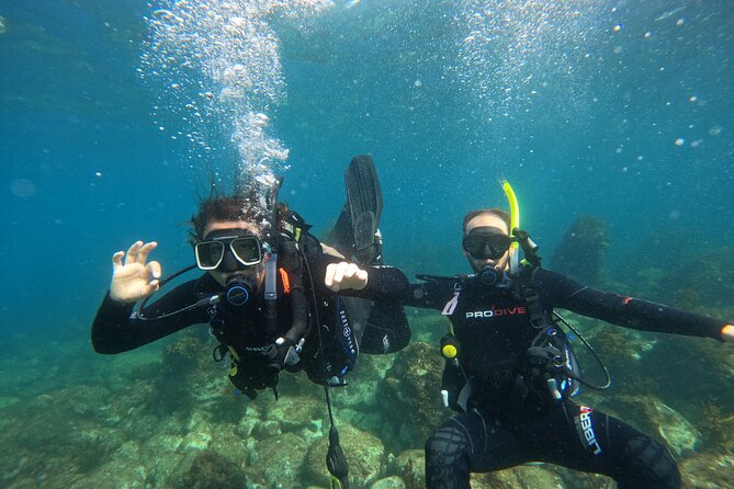 Cathedral Cove Dive & Snorkel- Marine Reserve specialised trips - One hour among rays, snapper, and reef fish