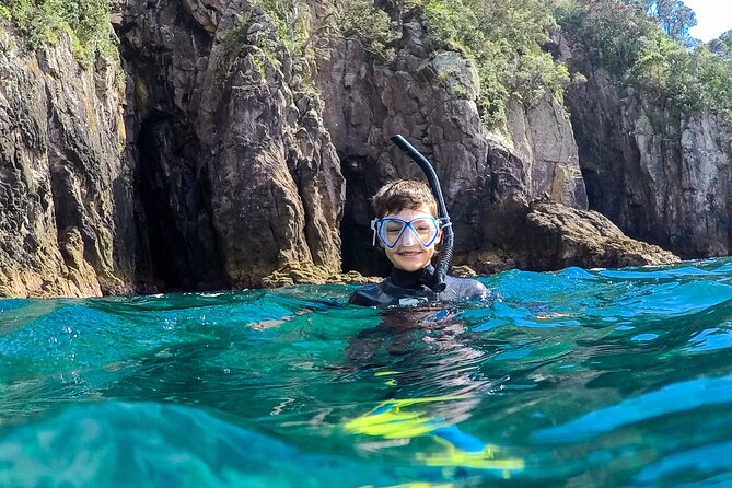 Cathedral Cove Dive & Snorkel- Marine Reserve specialised trips - The people make a difference