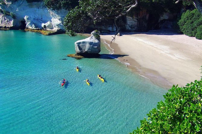 Cathedral Cove Kayak Tour - Why kayaking is a fine way to see Cathedral Cove