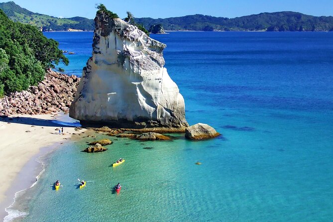 Cathedral Cove Kayak Tour - How the guides shape the experience