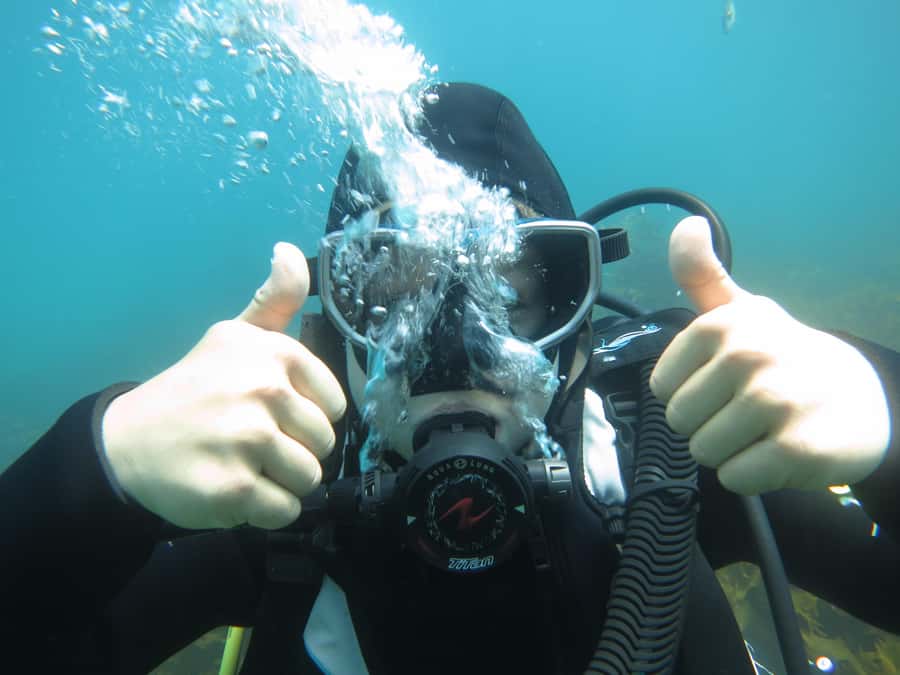 Cathedral Cove Marine Reserve: Snorkeling Boat Trip - Why the equipment matters in cool water