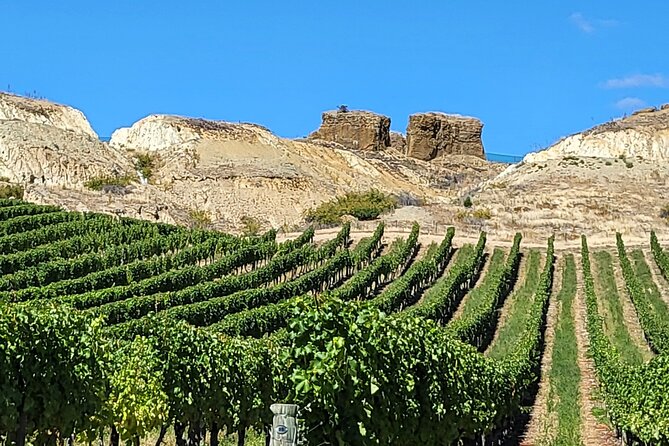 Central Otago Wine Tour Small Group, Expert Guide & Scenic Views - What the guide adds to the day