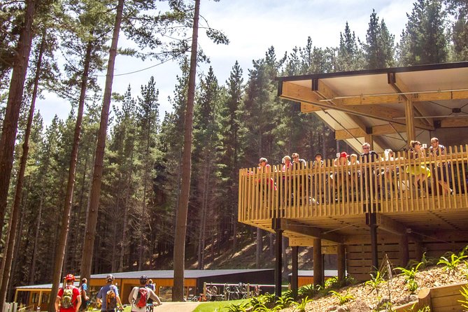 Chairlift Sightseeing Pass at the Christchurch Adventure Park - A simple visit plan