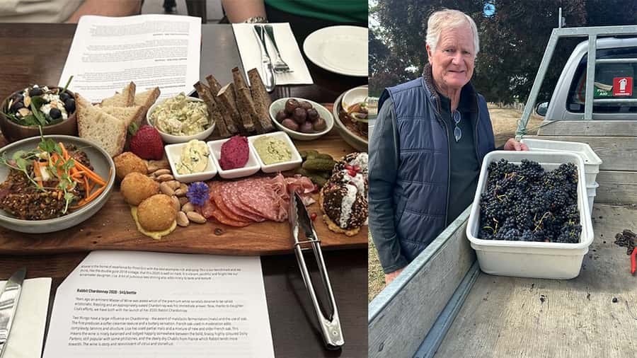 Chefs Private Martinborough wine tour with Gourmet Lunch - Key points to know before booking