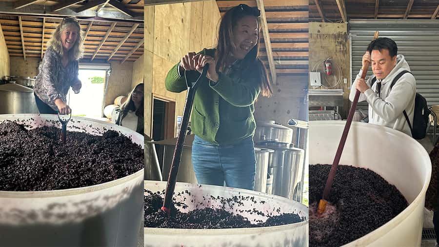 Chefs Private Martinborough wine tour with Gourmet Lunch - What the private format changes