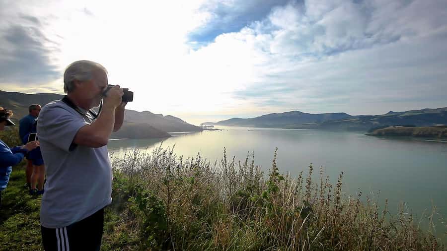 Christchurch: 1/2-Day Scenic Highlights Small Group Tour - Small group, private options, and the guide
