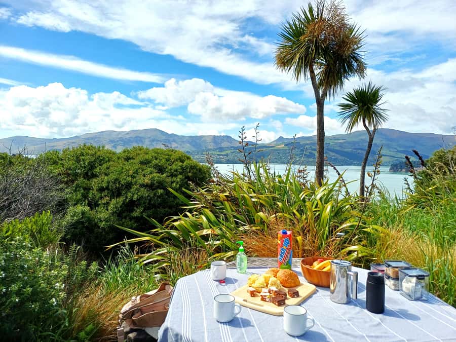 Christchurch: 1/2-Day Scenic Highlights Small Group Tour - A snack and wide views at the Sign of the Bellbird