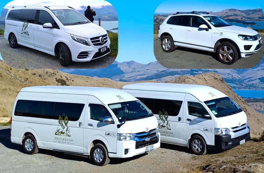 Christchurch: 1/2-Day Scenic Highlights Small Group Tour - What the $178 price covers