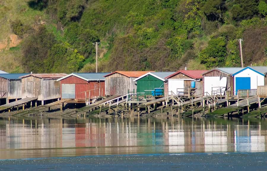 Christchurch: Akaroa and Banks Peninsula Day Trip - The Giant’s House, a wonderfully unusual choice