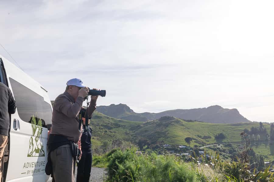 Christchurch: Akaroa and Banks Peninsula Day Trip - What the guides add to the day