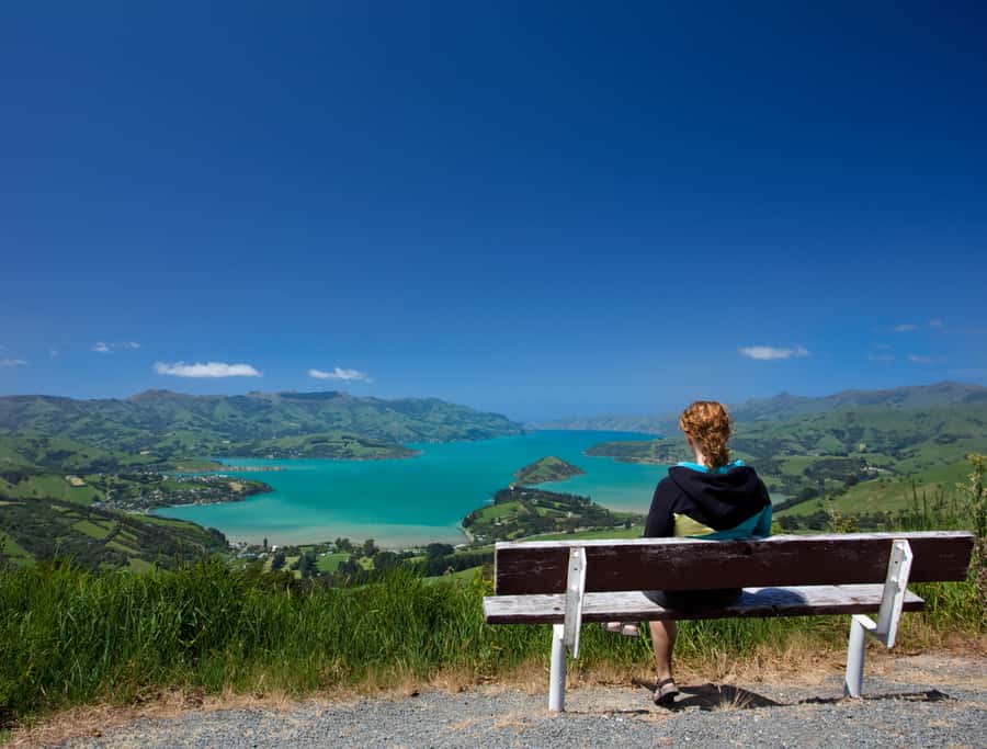 Christchurch: Akaroa and Banks Peninsula Day Trip - Setting out from Christchurch and stopping at Sign of the Kiwi