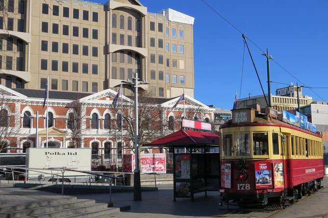 Christchurch City and Beaches Private Tesla Tour - The Arts Centre and Christchurch’s rebuilt core