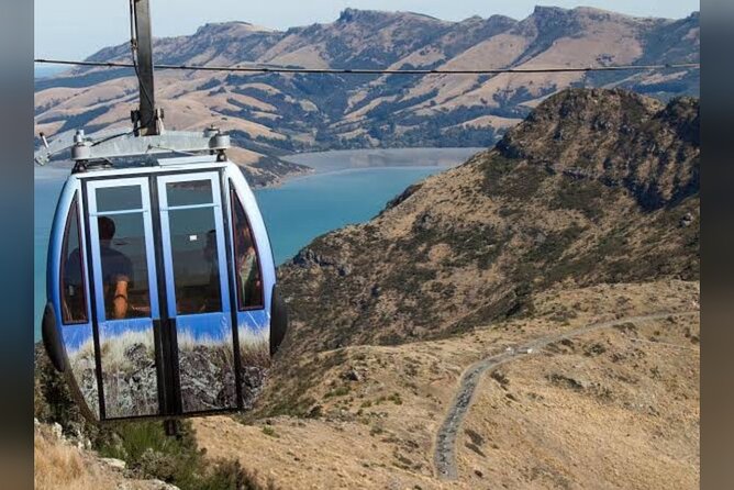 Christchurch City Full Day Private Tour - A calm hour in Christchurch Botanic Gardens
