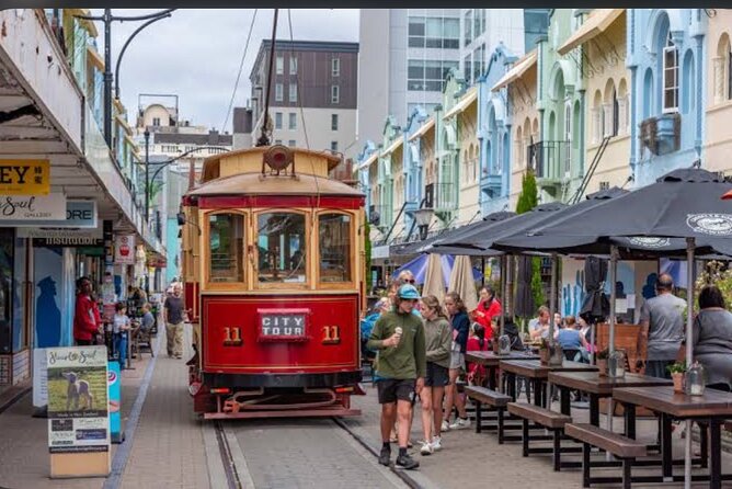 Christchurch City Full Day Private Tour - The International Antarctic Centre needs careful planning