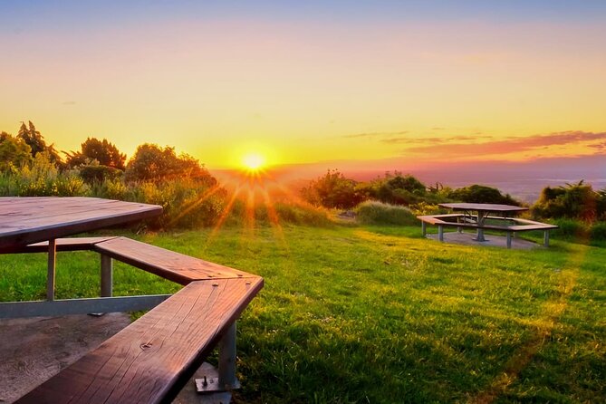 Christchurch City Highlights Half Day Tour - Is $114.81 good value?