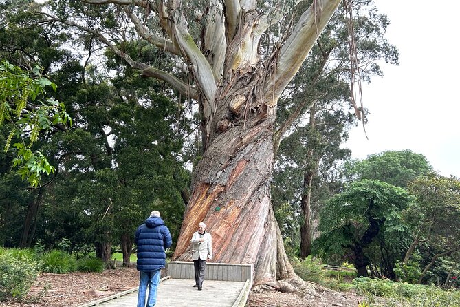 Christchurch City Top Sights Half Day Tour(Small Group Tour) - Christchurch Botanic Gardens bring calm and color