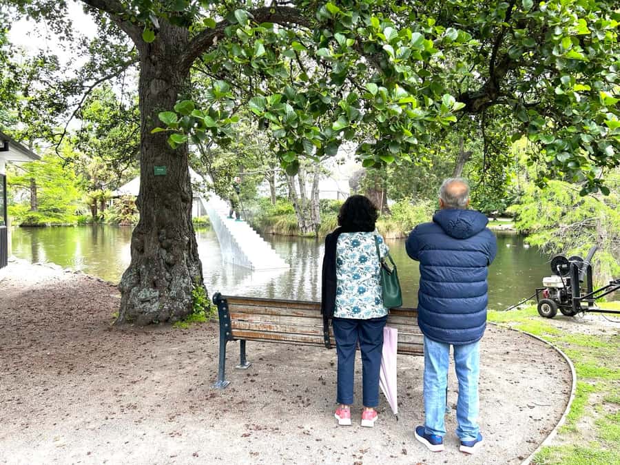 Christchurch City Top Spots Half Day Tour(Small Group Tour) - Taking a short walk through the Botanic Gardens