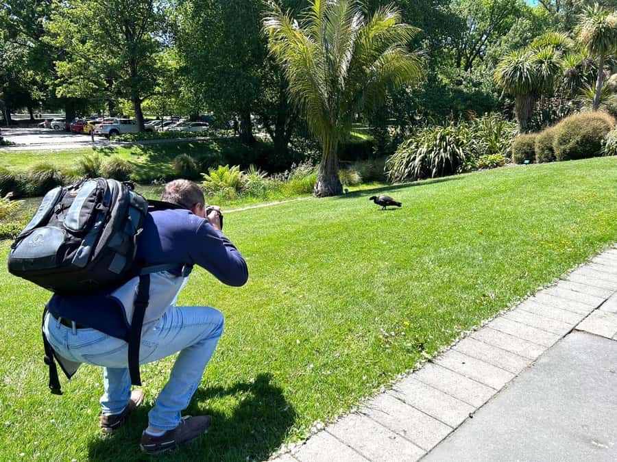 Christchurch City Top Spots Half Day Tour(Small Group Tour) - What the four-hour schedule really feels like