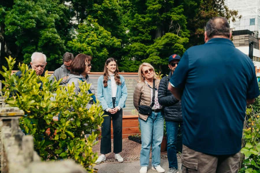 Christchurch City Top Spots Half Day Tour(Small Group Tour) - Booking details worth checking