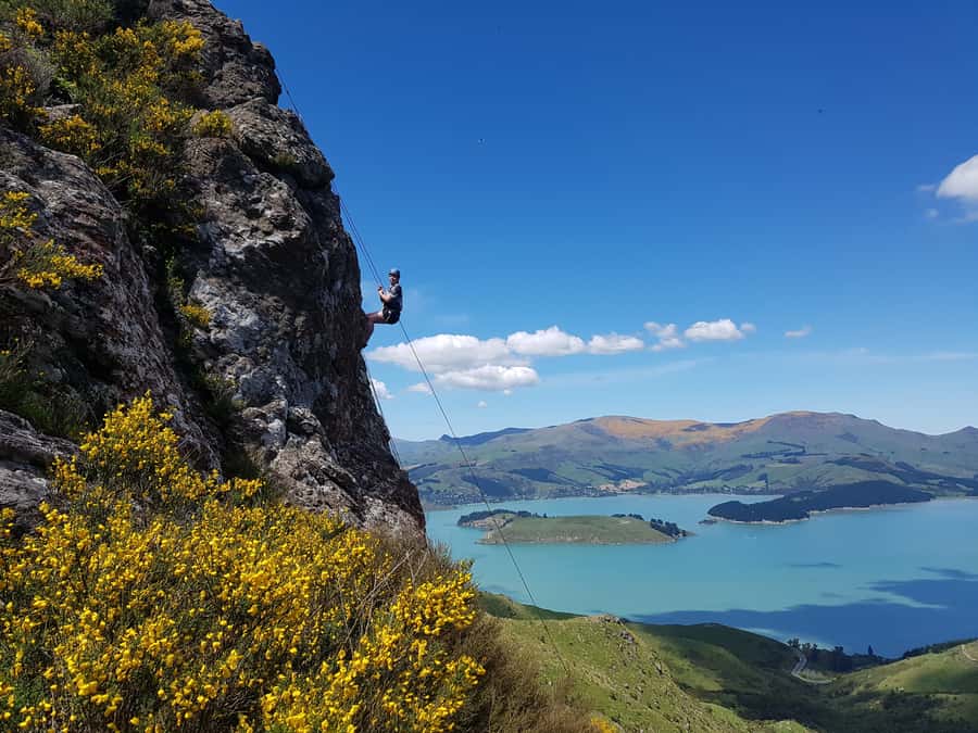 Christchurch: Full or Half-Day Rock Climbing Tour with Guide - Who should book this Port Hills outing?