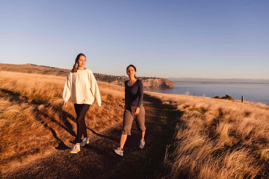 Christchurch: Godley Head & Lyttelton Guided Walking Tour - Key points at a glance