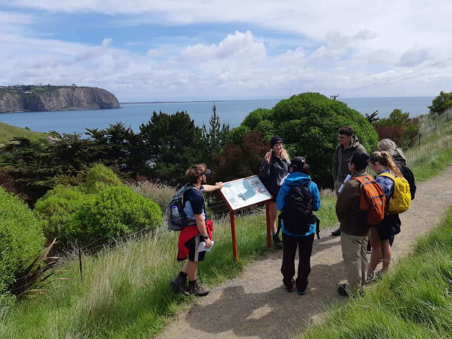 Christchurch: Godley Head & Lyttelton Guided Walking Tour - Why Godley Head makes a fine Christchurch day out