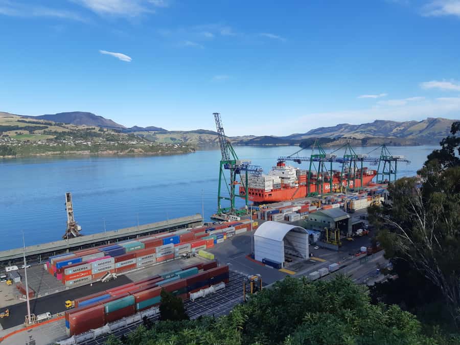 Christchurch: Godley Head & Lyttelton Guided Walking Tour - Who should book this walk