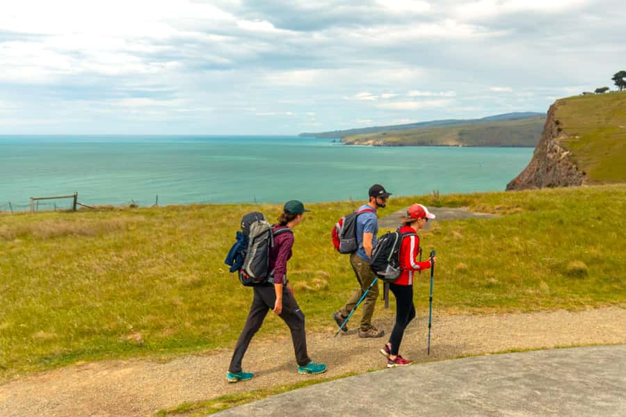 Christchurch: Godley Head & Lyttelton Guided Walking Tour - From Christchurch through the tunnel to Lyttelton