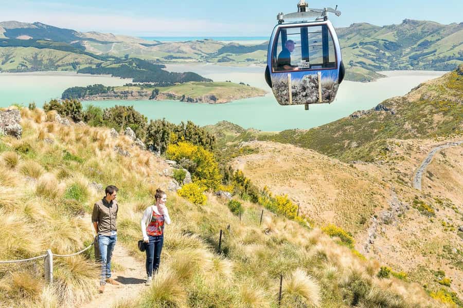 Christchurch Gondola and Tram City Tour Combo - Key points to know before you book