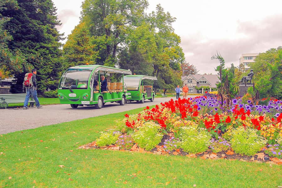 Christchurch Gondola and Tram City Tour Combo - Walk Mount Cavendish and look toward Lyttelton Harbour