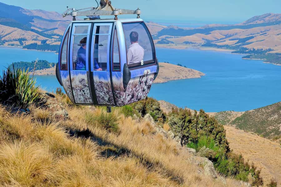 Christchurch: Gondola Ride - The summit view at 445 meters