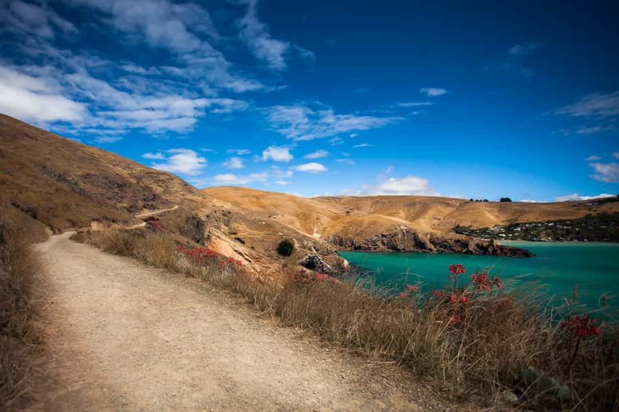 Christchurch: Guided Crater Rim Walk with Coastal Scenery - The viewpoint break and Boulder Bay picnic