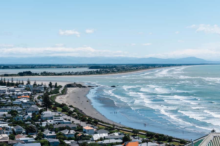 Christchurch: Guided Crater Rim Walk with Coastal Scenery - Wildlife without a zoo-like experience