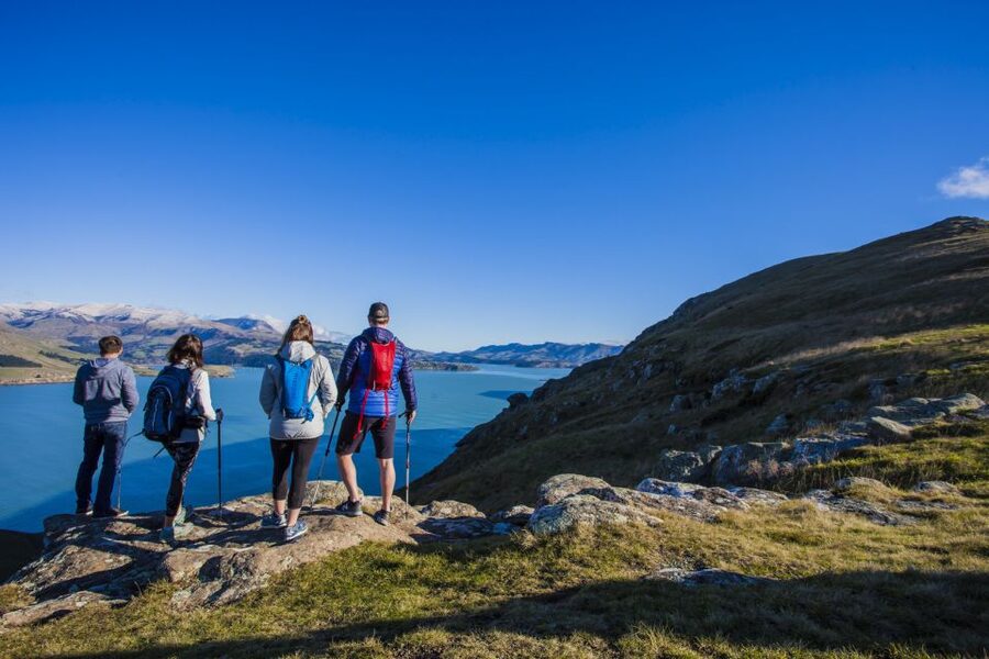Christchurch: Guided Crater Rim Walk with Coastal Scenery - Is the $140 price good value?