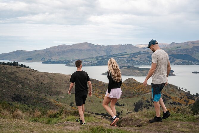 Christchurch Highlights Tour (Full Day Private) - Lyttelton Harbour and the Port Hills