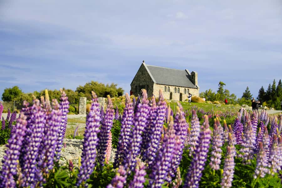 Christchurch: Lake Tekapo Stargazing & Mount Cook 2-Day Tour - Lavender, ice cream, and a seasonal change of plan