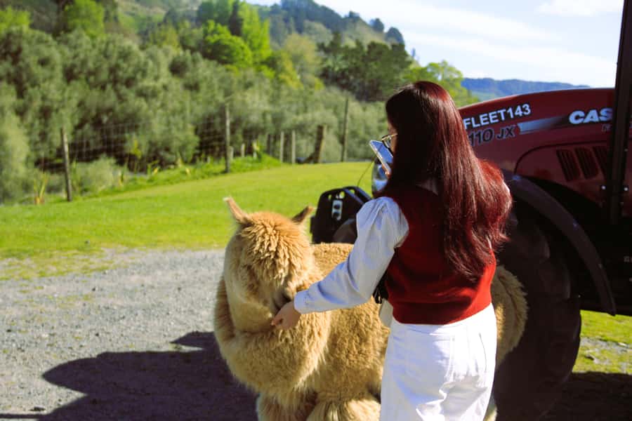 Christchurch: Lake Tekapo Stargazing & Mount Cook 2-Day Tour - From Christchurch to the blue water of Lake Pukaki