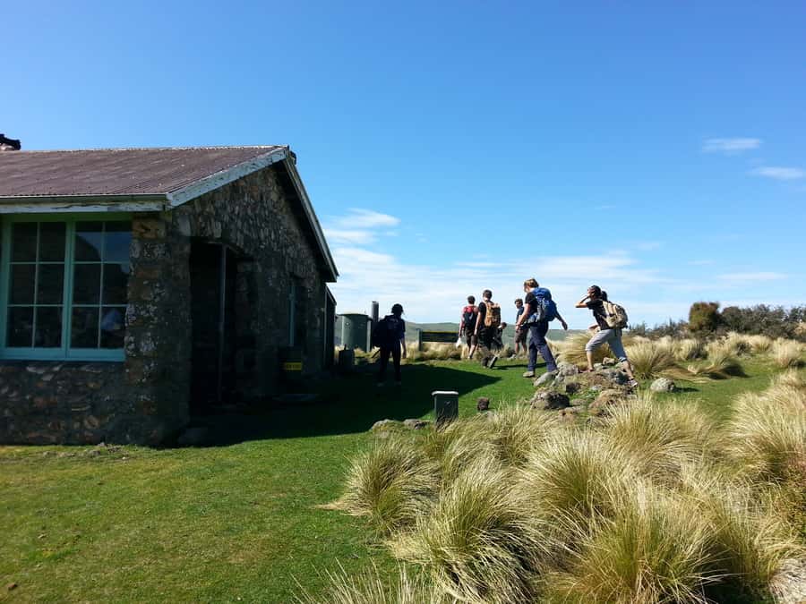 Christchurch: Packhorse Hut Guided Walk and Scenic Drive - What the guide adds to the day