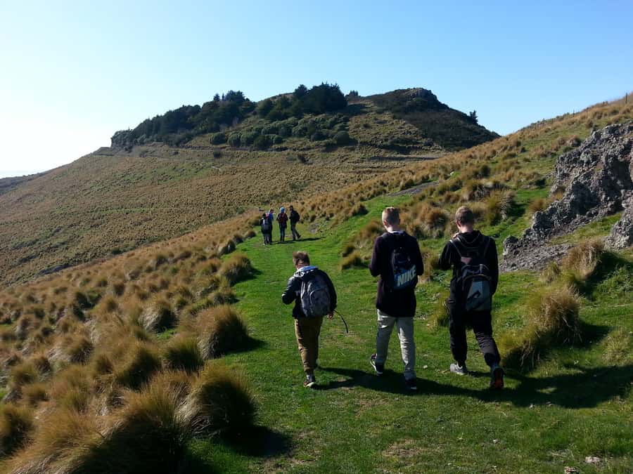 Christchurch: Packhorse Hut Guided Walk and Scenic Drive - Is $256 a fair price?