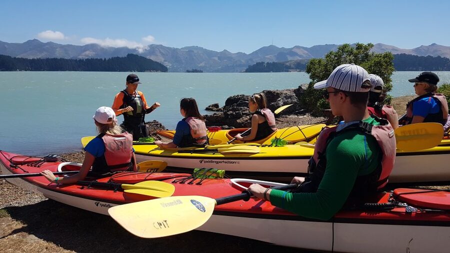 Christchurch: Sea Kayaking Tour of Lyttelton Harbour - A ship graveyard and sea caves