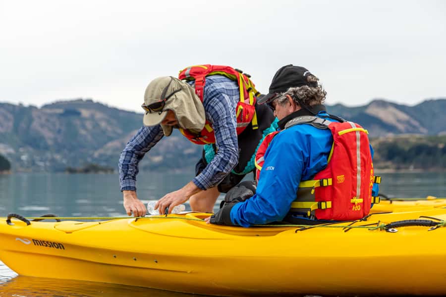 Christchurch: Sea Kayaking Tour of Lyttelton Harbour - Lunch, swimming, and time away from the paddle